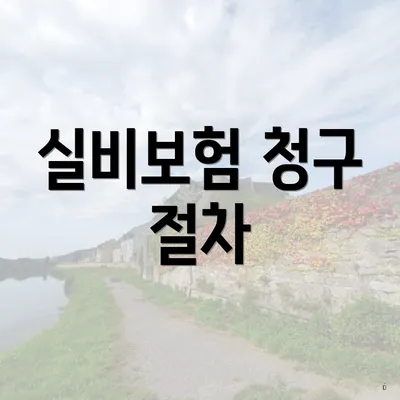 실비보험 청구 절차
