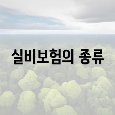 실비보험의 종류