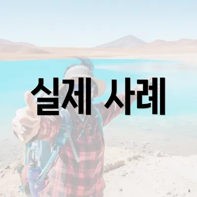 실제 사례