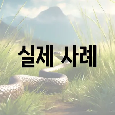 실제 사례