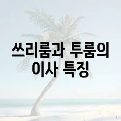 쓰리룸과 투룸의 이사 특징