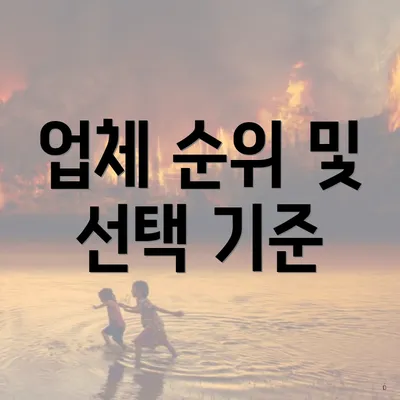 업체 순위 및 선택 기준