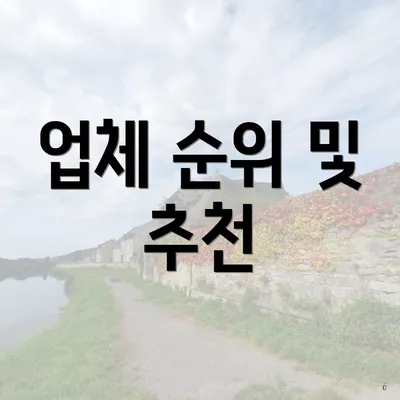 업체 순위 및 추천