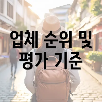 업체 순위 및 평가 기준