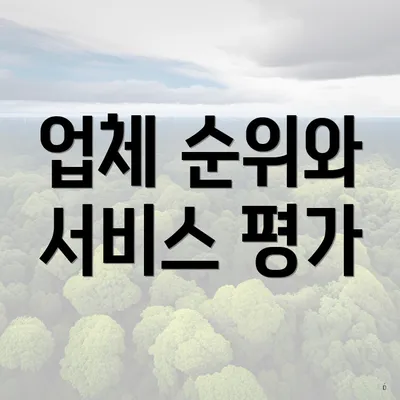업체 순위와 서비스 평가