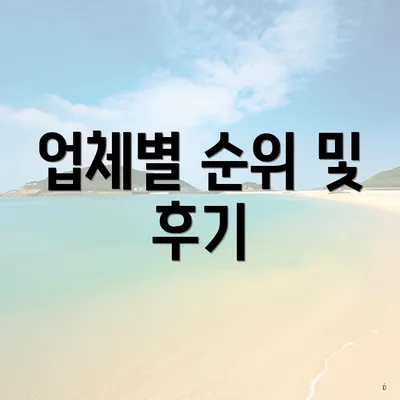 업체별 순위 및 후기