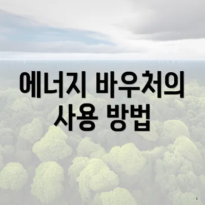 에너지 바우처의 사용 방법