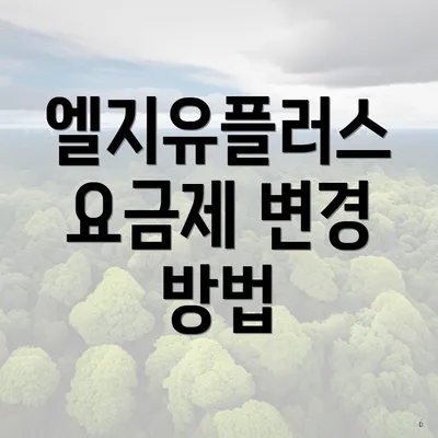엘지유플러스 요금제 변경 방법