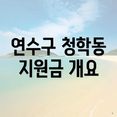 연수구 청학동 지원금 개요