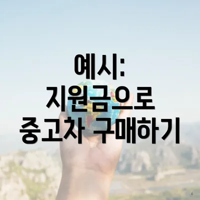 예시: 지원금으로 중고차 구매하기