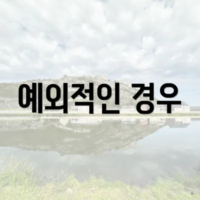 예외적인 경우
