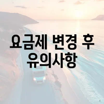 요금제 변경 후 유의사항