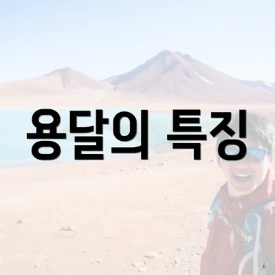 용달의 특징