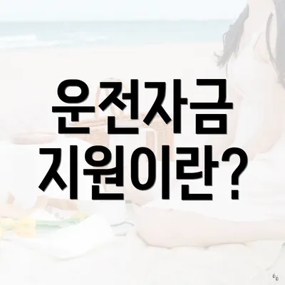 운전자금 지원이란?