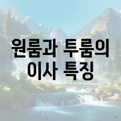 원룸과 투룸의 이사 특징