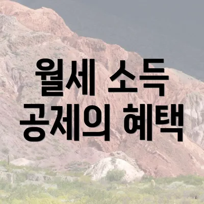 월세 소득 공제의 혜택