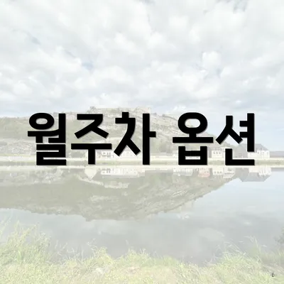 월주차 옵션