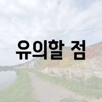 유의할 점