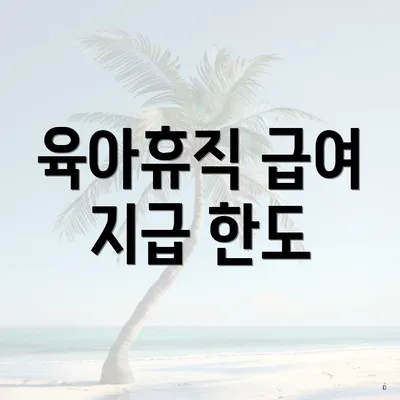 육아휴직 급여 지급 한도