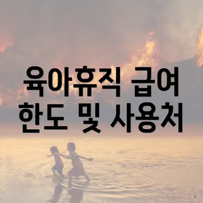 육아휴직 급여 한도 및 사용처