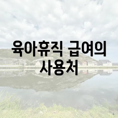 육아휴직 급여의 사용처