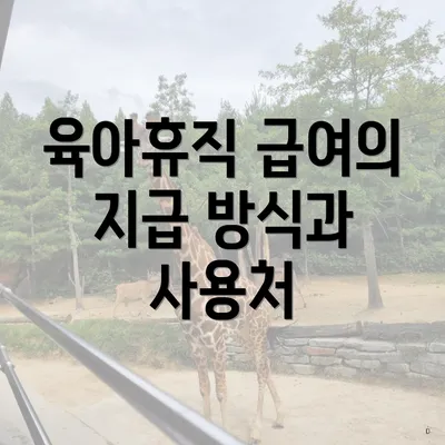 육아휴직 급여의 지급 방식과 사용처