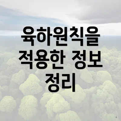 육하원칙을 적용한 정보 정리