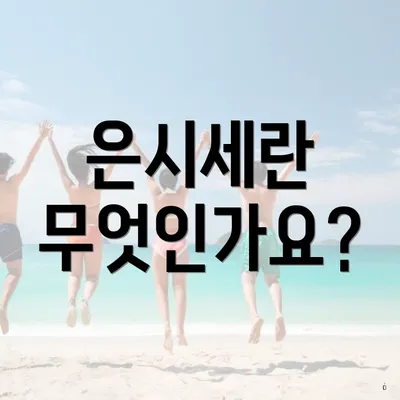 은시세란 무엇인가요?