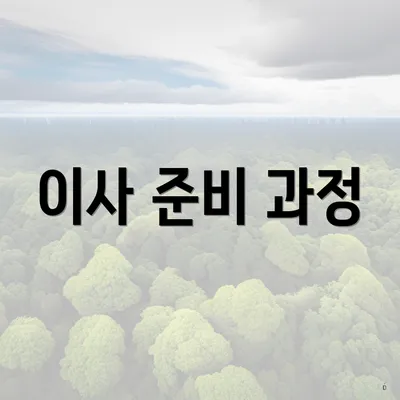 이사 준비 과정