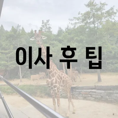 이사 후 팁