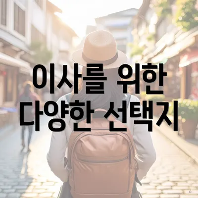 이사를 위한 다양한 선택지