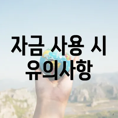 자금 사용 시 유의사항