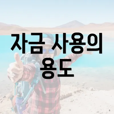 자금 사용의 용도