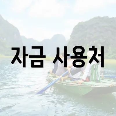 자금 사용처