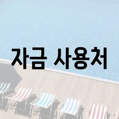 자금 사용처