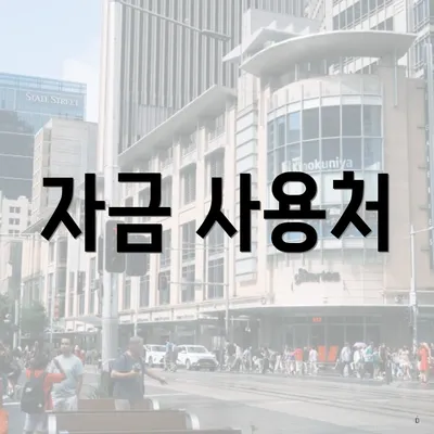 자금 사용처