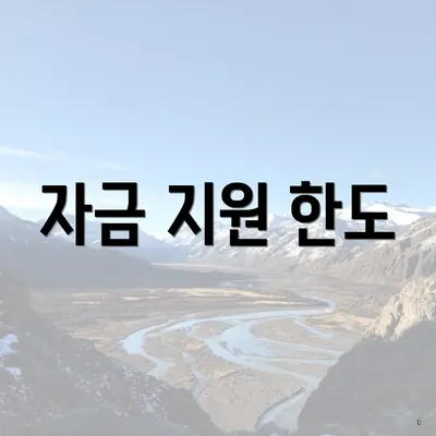 자금 지원 한도
