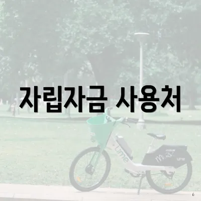 자립자금 사용처