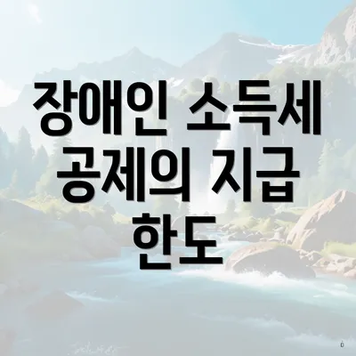 장애인 소득세 공제의 지급 한도