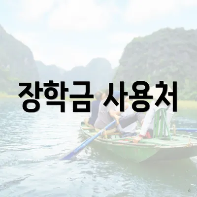 장학금 사용처