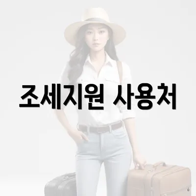 조세지원 사용처