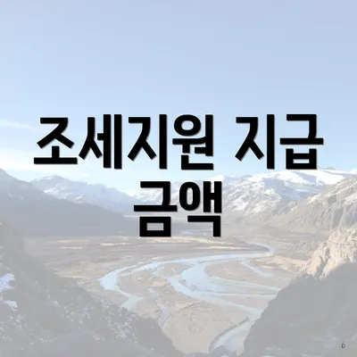 조세지원 지급 금액