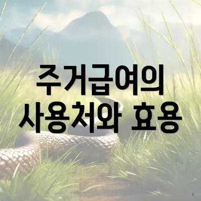 주거급여의 사용처와 효용