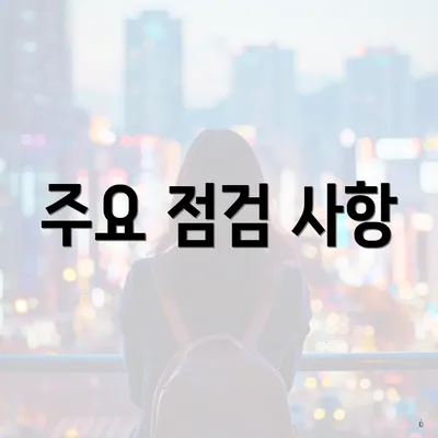 주요 점검 사항