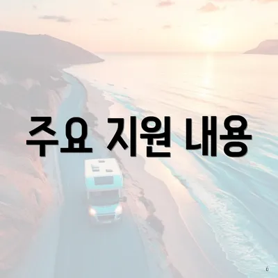 주요 지원 내용