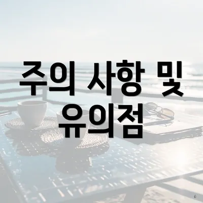 주의 사항 및 유의점