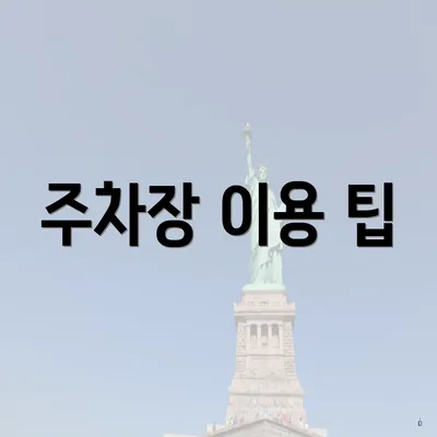 주차장 이용 팁