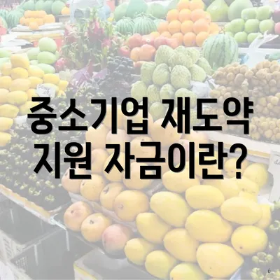중소기업 재도약 지원 자금이란?