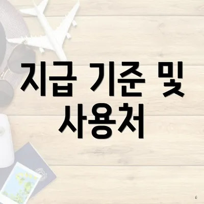 지급 기준 및 사용처