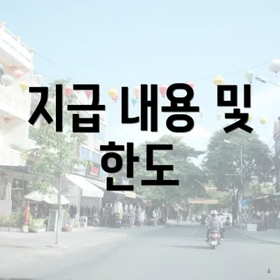 지급 내용 및 한도